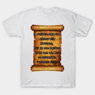 A faithful man will abound with blessings, but he who hastens to be rich will not go unpunished. -Proverbs 28:20 T-Shirt